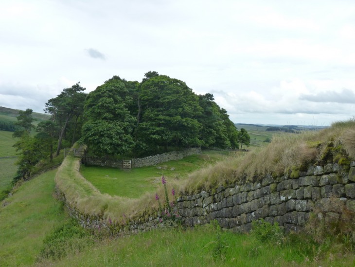 housesteads_2010 (23)