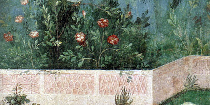Les variétés présentées dans le Rosarium d'Autun