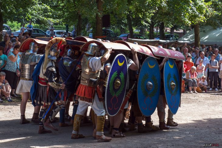 Le testudo, tortue en français